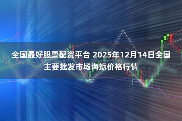 全国最好股票配资平台 2025年12月14日全国主要批发市场海蛎价格行情