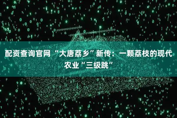 配资查询官网 “大唐荔乡”新传：一颗荔枝的现代农业“三级跳”